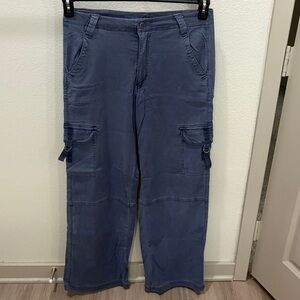 American Eagle Outfitters Blue Cargo Pants